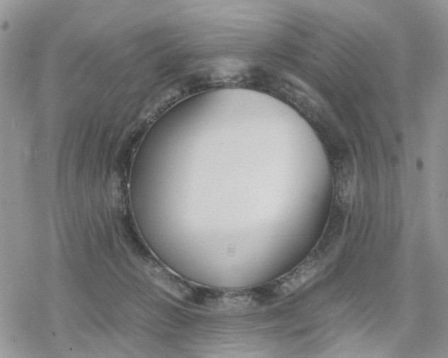 X0000078240270200611171506