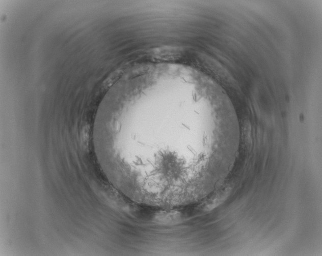 X0000078240271200611171506