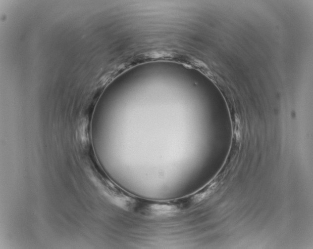 X0000078240272200611171506