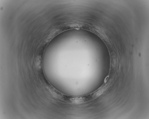 X0000078240273200611171506