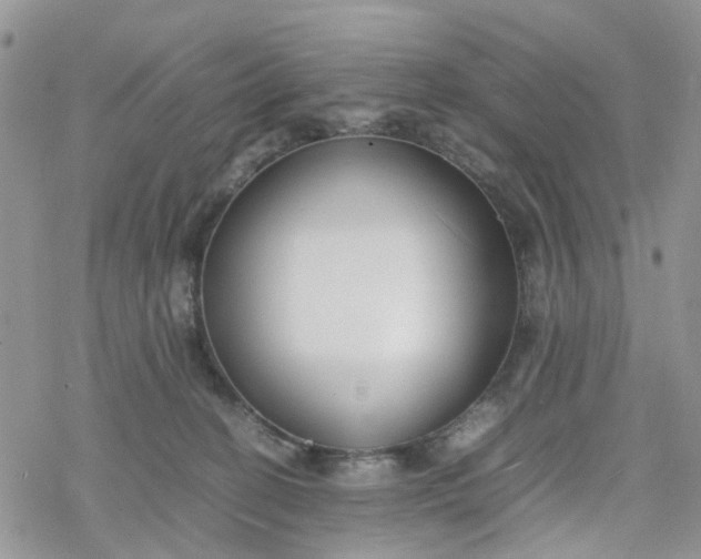 X0000078240274200611171506