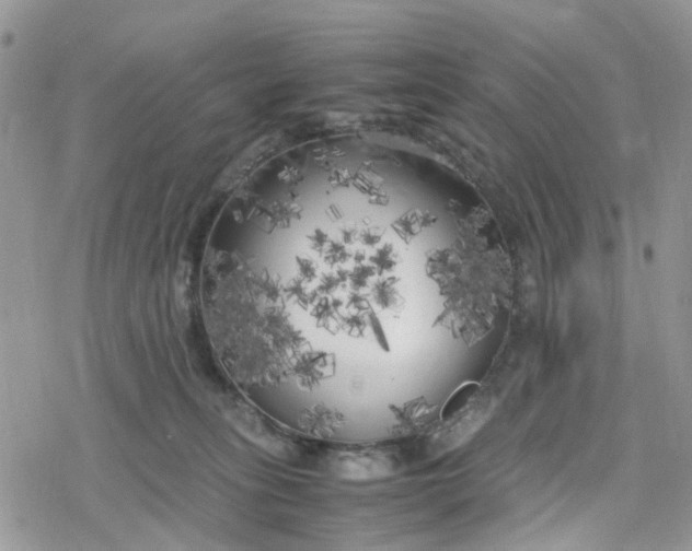 X0000078240275200611171506