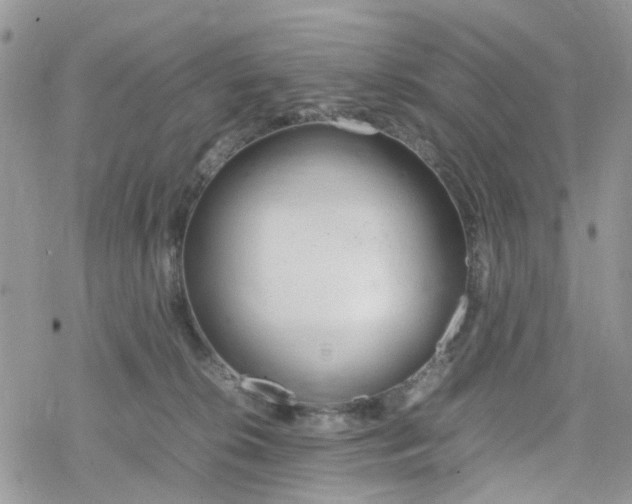 X0000078240276200611171506