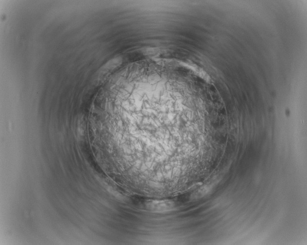 X0000078240277200611171506