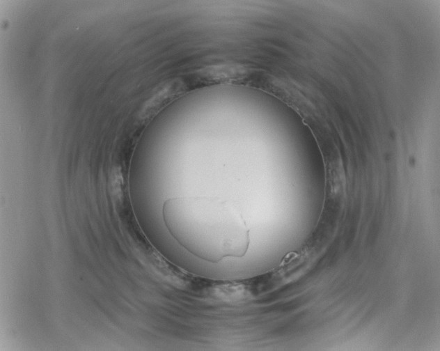 X0000078240279200611171506