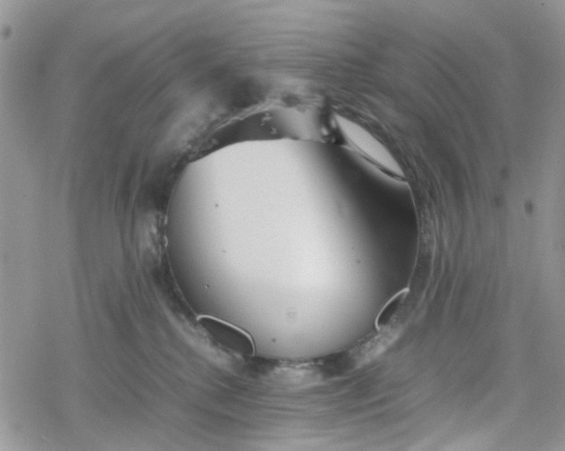 X0000078240280200611171506