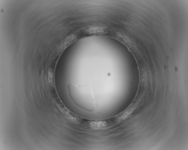 X0000078240281200611171506