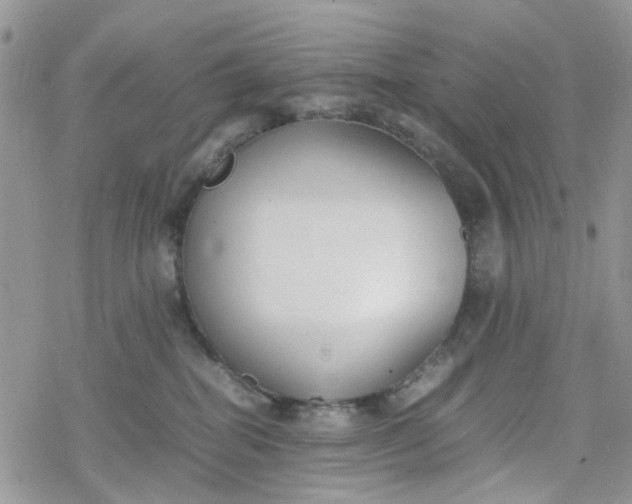 X0000078240282200611171506