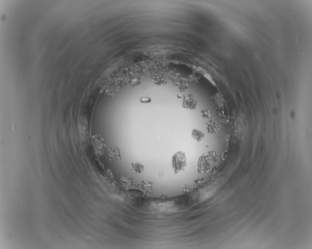 X0000078240283200611171506