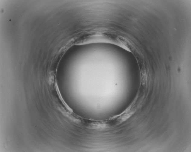 X0000078240284200611171506