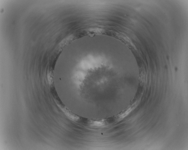 X0000078240285200611171506