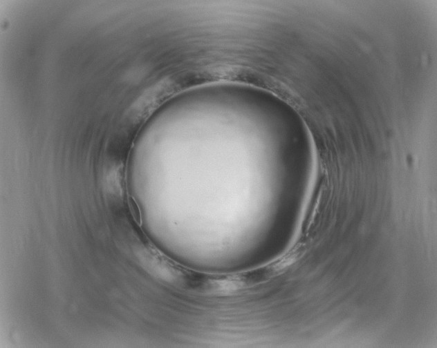 X0000078240286200611171506