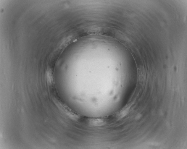 X0000078240287200611171506