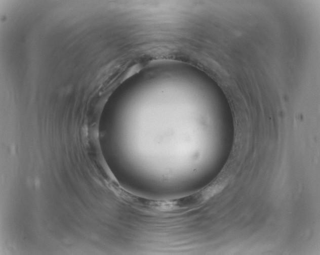 X0000078240288200611171506