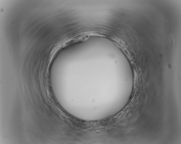 X0000078240289200611171505