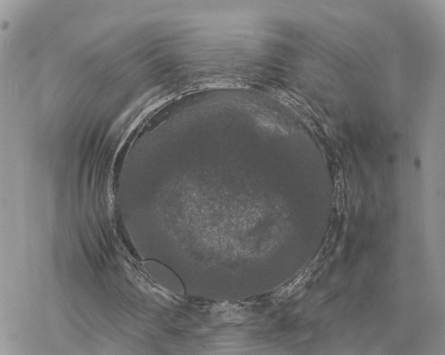 X0000078240290200611171505