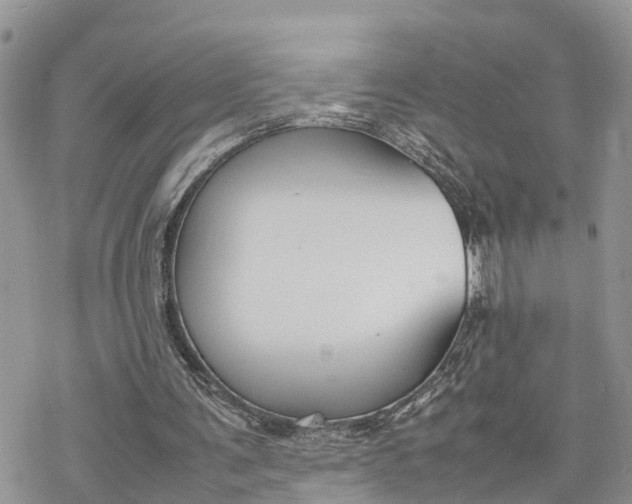 X0000078240291200611171505