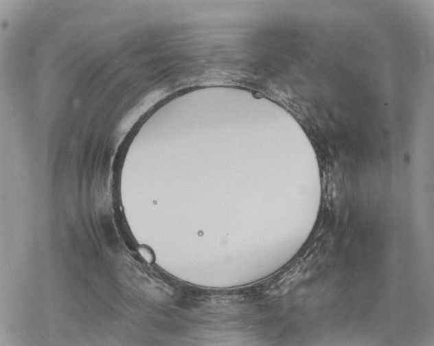 X0000078240292200611171505