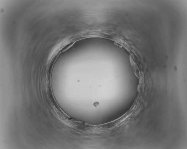 X0000078240293200611171505