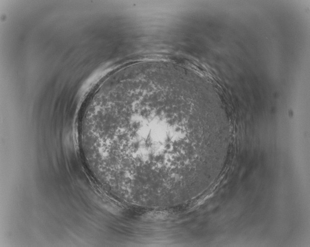 X0000078240294200611171505