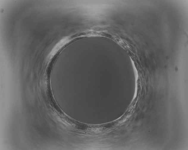 X0000078240295200611171505