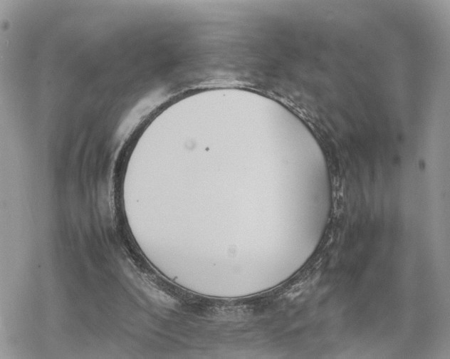 X0000078240296200611171505