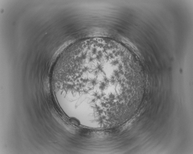 X0000078240298200611171505