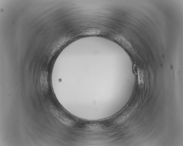 X0000078240300200611171505