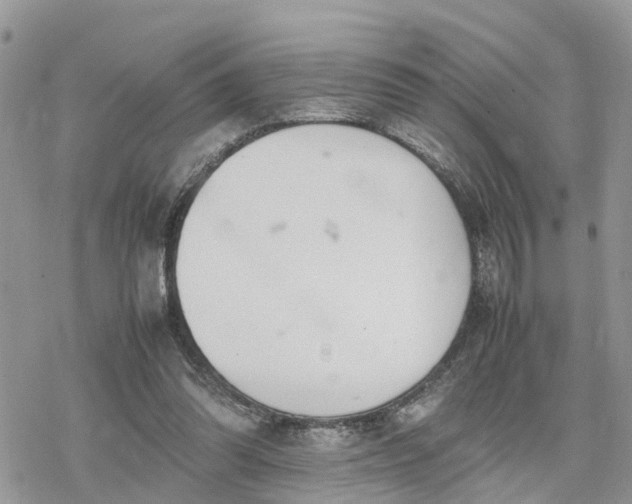 X0000078240302200611171505