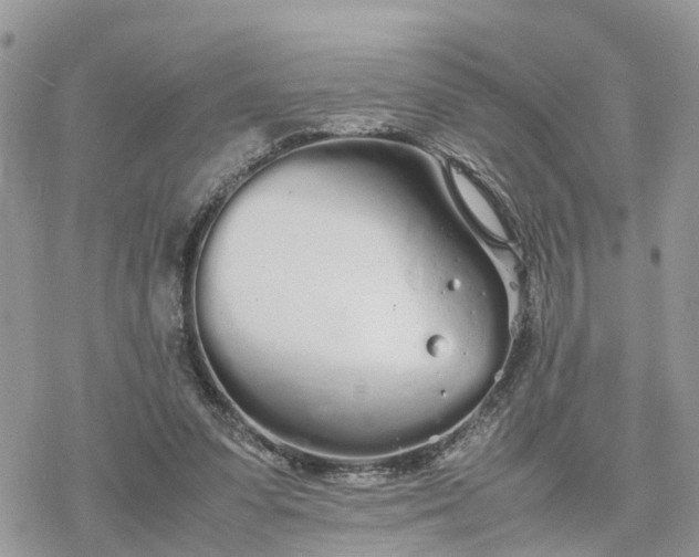 X0000078240303200611171505