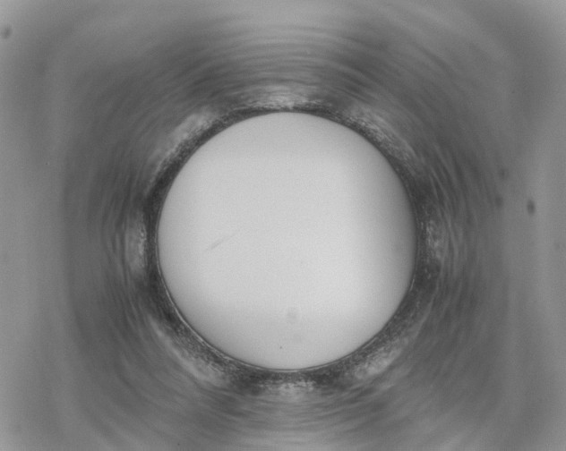 X0000078240304200611171505