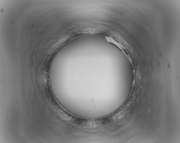 X0000078240305200611171505