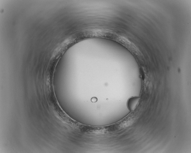 X0000078240306200611171505