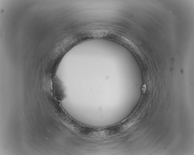 X0000078240307200611171505