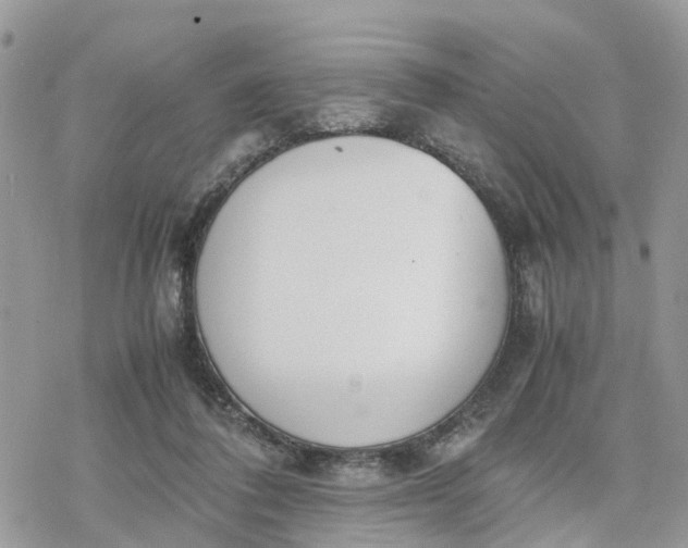 X0000078240308200611171505