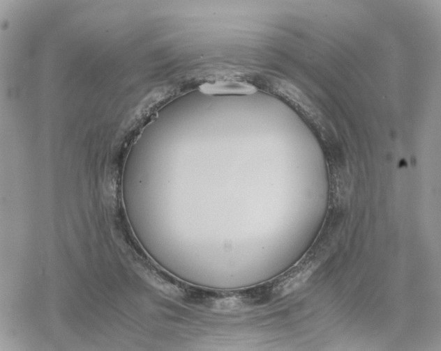 X0000078240309200611171505