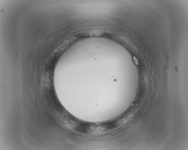 X0000078240311200611171505