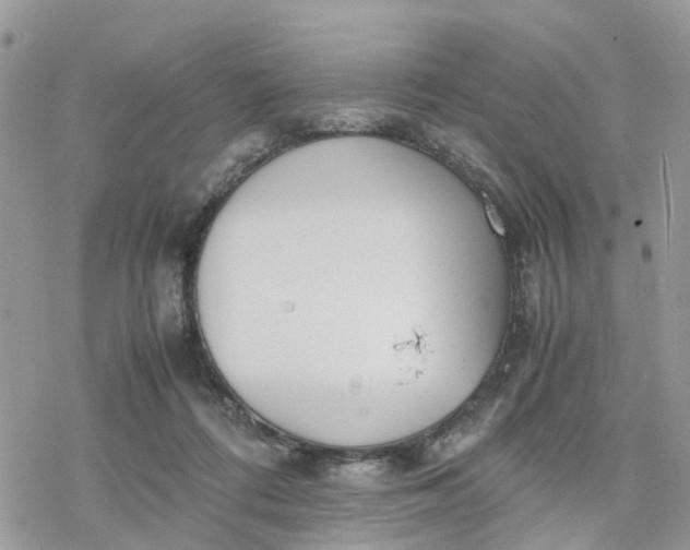 X0000078240312200611171505