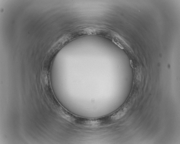 X0000078240313200611171505