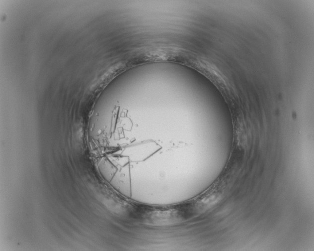 X0000078240314200611171505