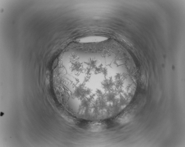 X0000078240315200611171505