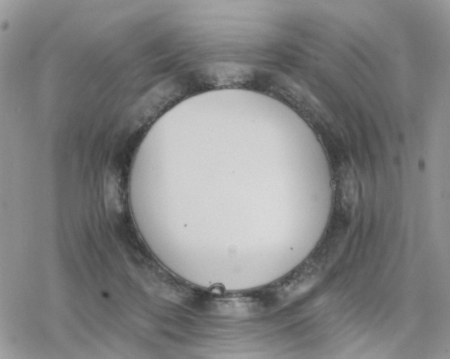 X0000078240316200611171505