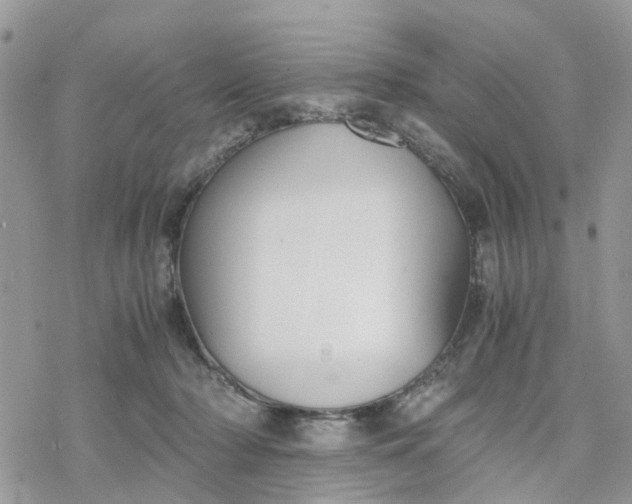 X0000078240318200611171505