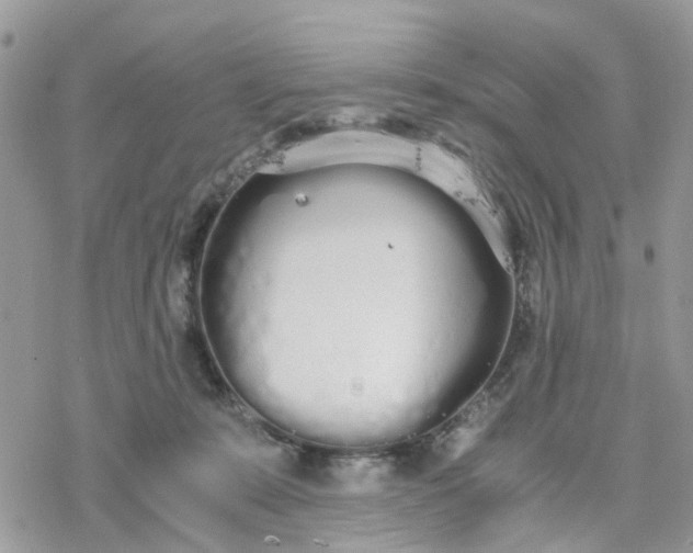 X0000078240319200611171505