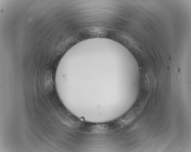 X0000078240320200611171505