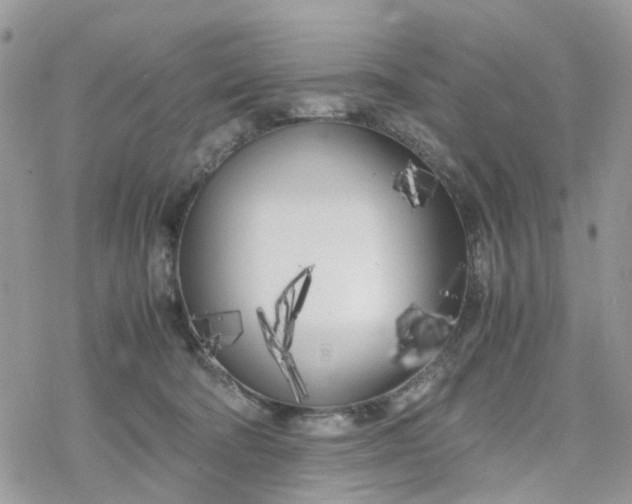 X0000078240322200611171505