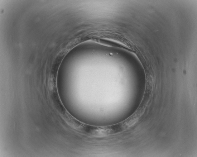 X0000078240323200611171505