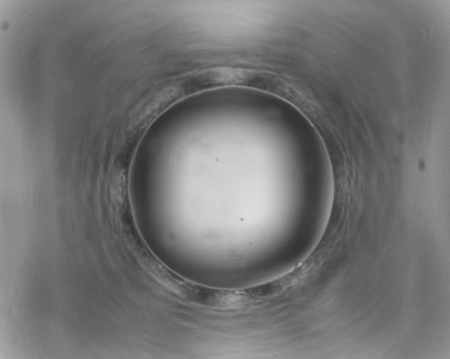 X0000078240325200611171505