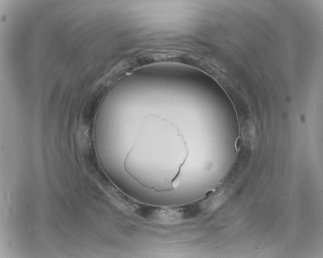 X0000078240327200611171505