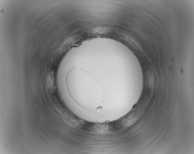 X0000078240328200611171505